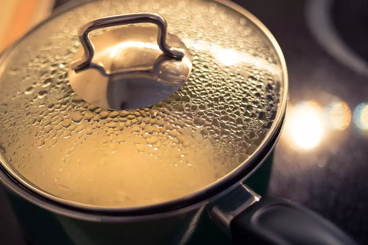 Préparation de repas sains : comment utiliser la cuisson à la vapeur pour cuisiner vos repas à l'avance